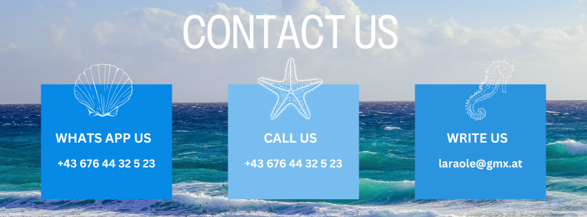 contact us