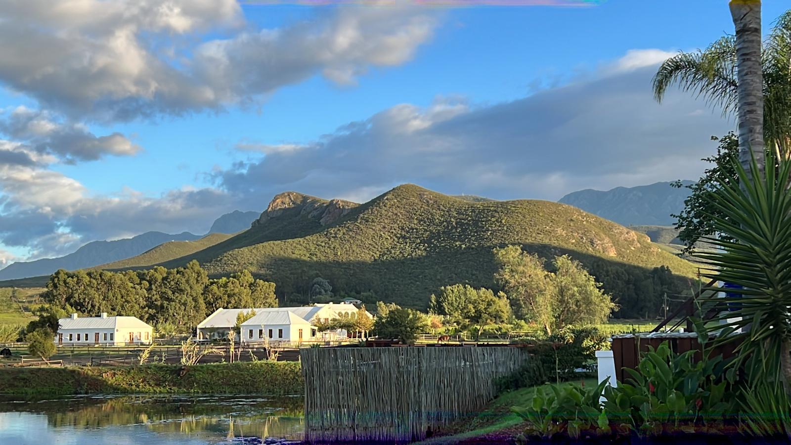 Riebeek Kasteel Southafrica, Cape Winelands, Kloovenburg, winewarm, olivefarm